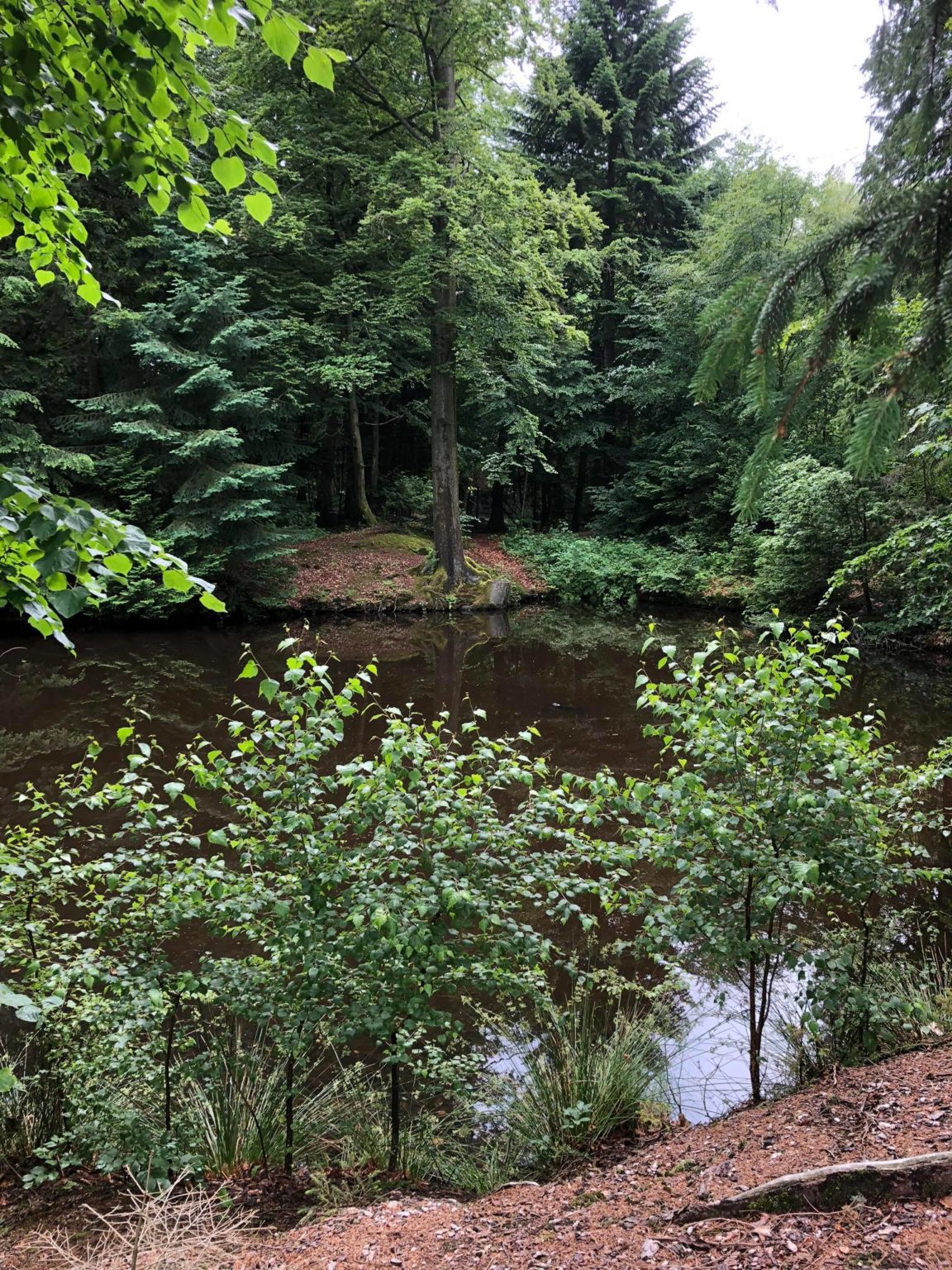 Englischer Garten Eulbach Odenwald plus mehr Natur Wirtschaft